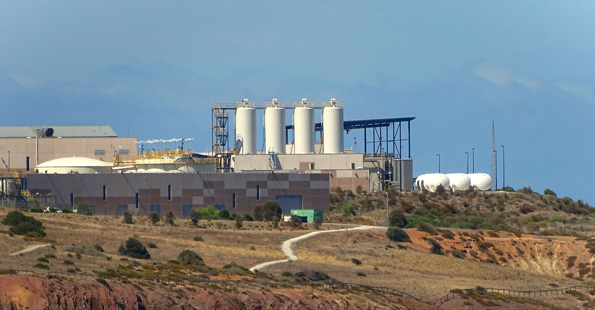 1xBet Cash Out on App